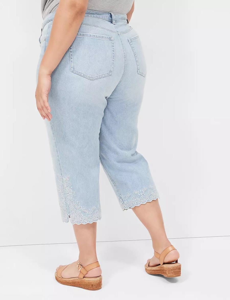 Lane Bryant Boyfriend Fit Capri With Embroidery Jeans Dames Lichtblauw | DUU9682BD