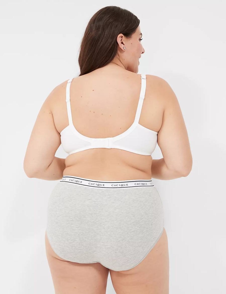Lane Bryant Cotton Full With Wide Waistband Slips Dames Grijs | ABD1421BU