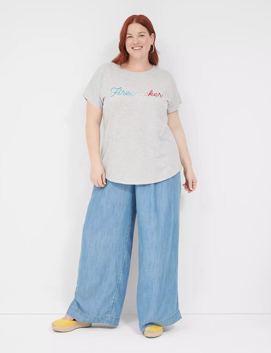 Lane Bryant Embroidered Firecracker Graphic Tee T-shirts Dames Grijs | NLM6755YC